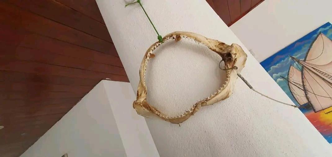 Los Tisseaux Casares Kültér fotó